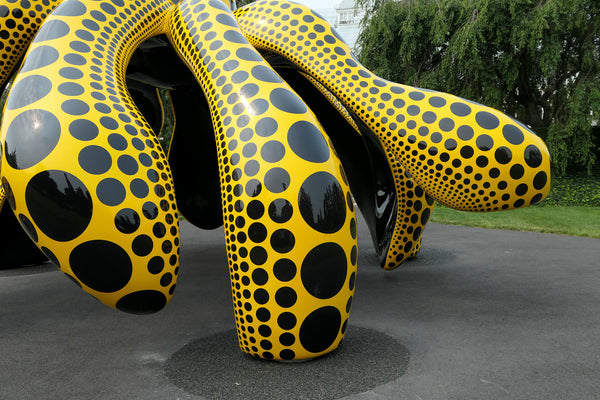 Field Trip: KUSAMA Cosmic Nature at New York Botanical