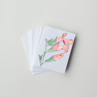 Autumn Sage (pack of 10 greeting cards and envelopes)