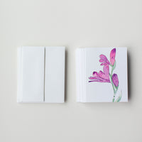 Hardy Glad Iris (pack of 10 greeting cards and envelopes)