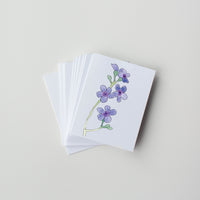 Siberian bugloss (pack of 10 greeting cards and envelopes)