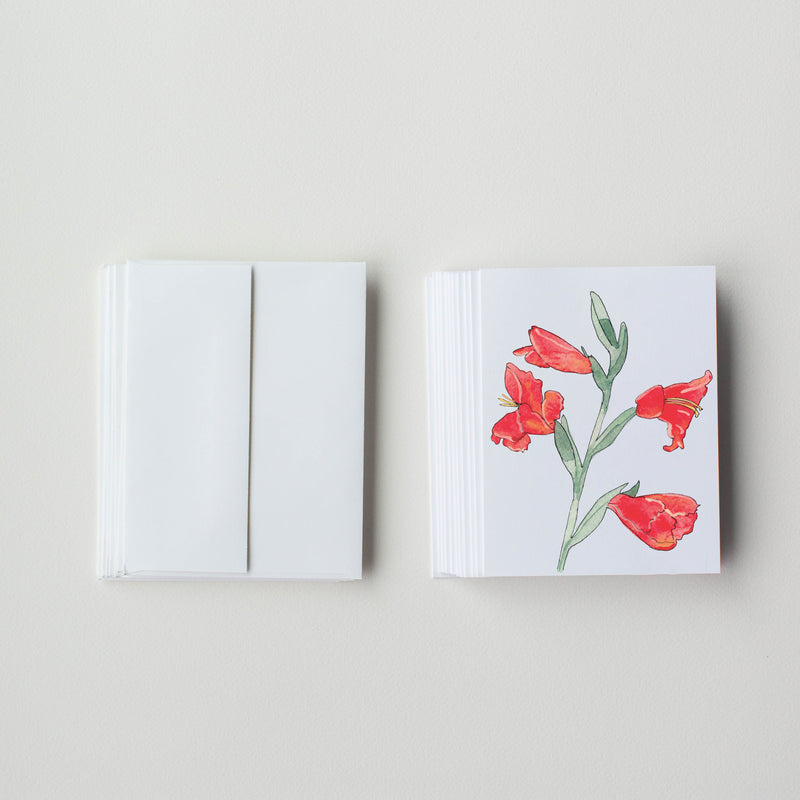 Atom Iris (pack of 10 greeting cards and envelopes)