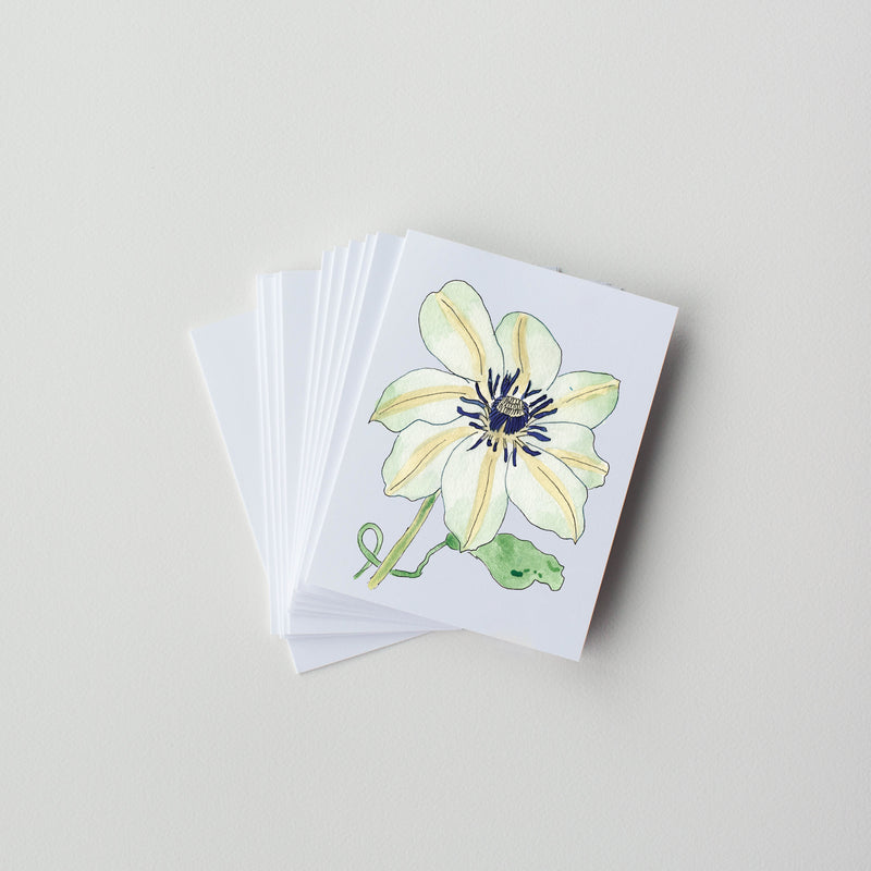 Clematis (pack of 10 greeting cards and envelopes)