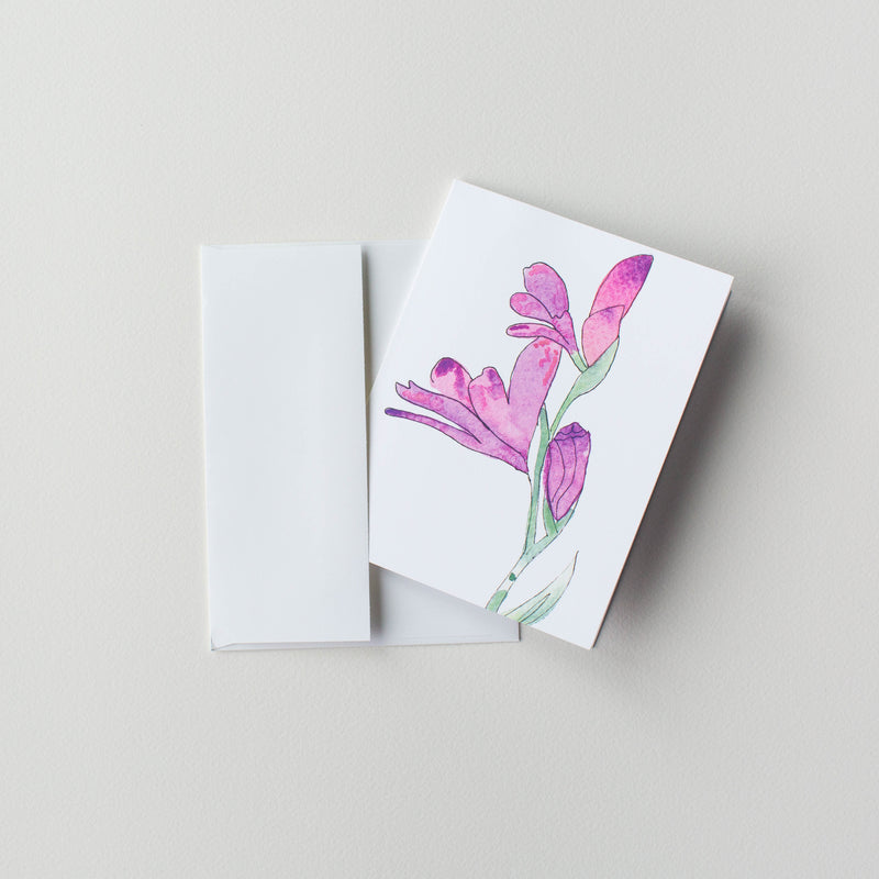 Hardy Glad Iris (pack of 10 greeting cards and envelopes)