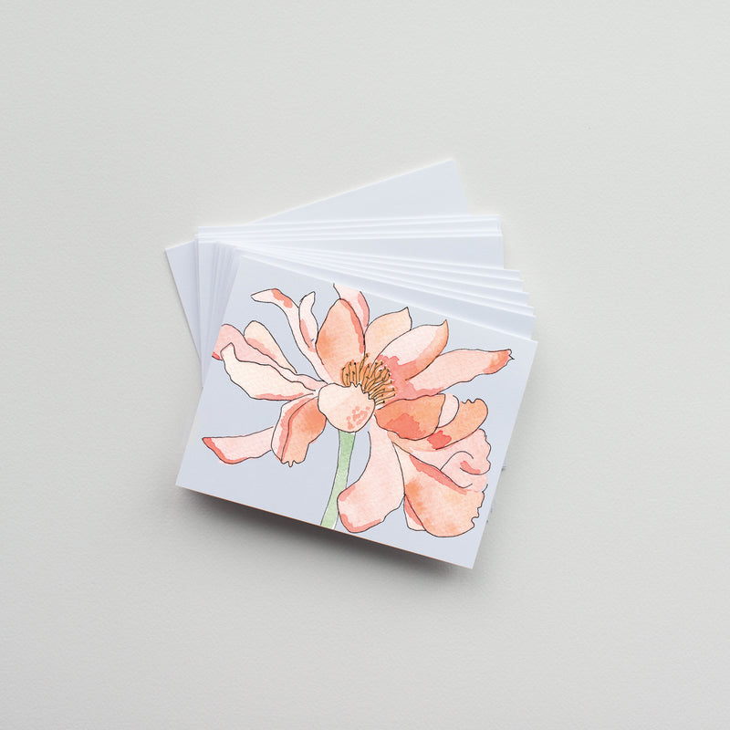 Peony (pack of 10 greeting cards and envelopes)
